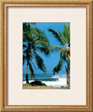 Buy Spot d'Haleiwa at AllPosters.com