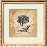 Buy Hydrangea at AllPosters.com