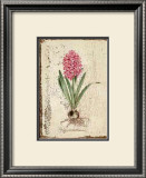 Buy Pink Hyacinth at AllPosters.com