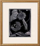 Buy Chestnuts at AllPosters.com