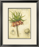Buy Crown Imperial Lily at AllPosters.com