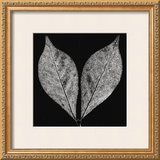 Buy Simplicity at AllPosters.com