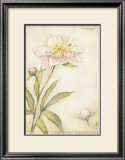 Buy Peony I at AllPosters.com