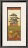 Bonsai II