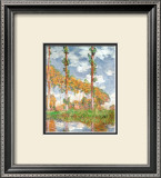 Poplars at Giverny