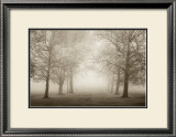 Buy Layers of Trees II at AllPosters.com