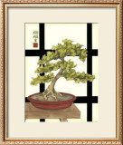 Zen Bonsai III