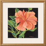 Orange Flower
