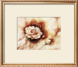 Buy Rose Shadow II at AllPosters.com