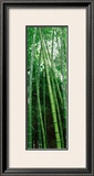 Vertical Zen