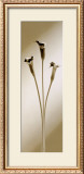 Buy Calla at AllPosters.com