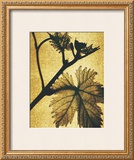Buy Golden Time II at AllPosters.com
