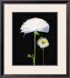 Buy Two Friends I at AllPosters.com