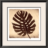 Buy Monstera II at AllPosters.com