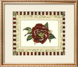 Buy Camelia Reticulata at AllPosters.com