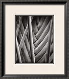 Buy Palm Pattern at AllPosters.com