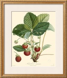 Buy Strawberries at AllPosters.com
