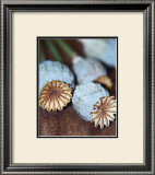 Buy Expressive Formation at AllPosters.com
