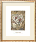 Buy Tigerlily and Lace at AllPosters.com