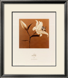 Buy Lily at AllPosters.com