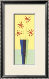 Buy Blusher Daisies at AllPosters.com