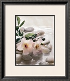 Buy Spring Retreat III at AllPosters.com