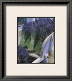 Buy Lavender Harvest at AllPosters.com