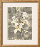 Buy Silver Rose I at AllPosters.com