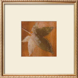 Buy Autumn Leaves IV at AllPosters.com
