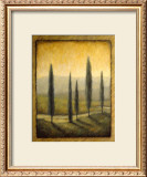 Buy Morning Path I at AllPosters.com