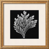 Buy Simplicity at AllPosters.com
