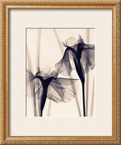 Buy Japanese Iris at AllPosters.com