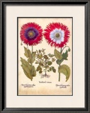 L'Herbier VIII