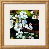 Blossom Lullaby I