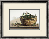 Buy Holly at AllPosters.com