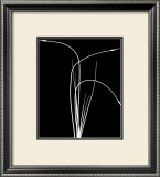 Wild Grasses II