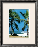 Buy Spot d'Haleiwa at AllPosters.com