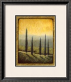 Buy Morning Path II at AllPosters.com