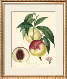 Buy Peaches at AllPosters.com