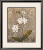 Buy White Harmony II at AllPosters.com