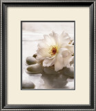 Buy Spring Retreat IV at AllPosters.com