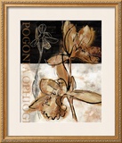 Buy Blooming Orchid II at AllPosters.com