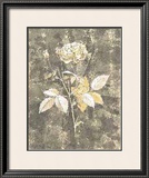 Buy Silver Rose II at AllPosters.com