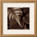 Buy Painted Ferns I at AllPosters.com