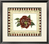Buy Camelia Reticulata at AllPosters.com