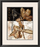 Buy Blooming Orchid II at AllPosters.com