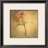 Buy Little Anemone at AllPosters.com