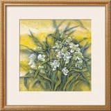 Buy White Orchids at AllPosters.com