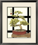 Zen Bonsai I