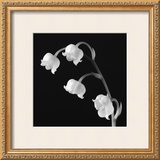 Buy Spring Bells I at AllPosters.com